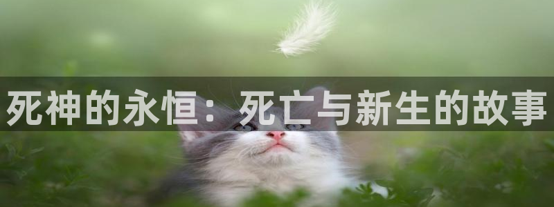 汗汗漫画连载榜：死神的永恒：死亡与新生的故事配图