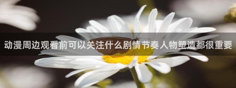汗汗漫画中文版在线：动漫周边观看前可以关注什么剧情节奏人物塑造都很重要配图