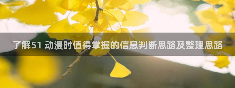 汗汗漫画最新章节阅读:了解51 动漫时值得掌握的信息判断思路及整理思路配图