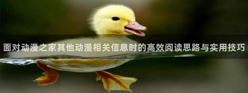 汗汗漫画大全新作：面对动漫之家其他动漫相关信息时的高效阅读思路与实用技巧配图