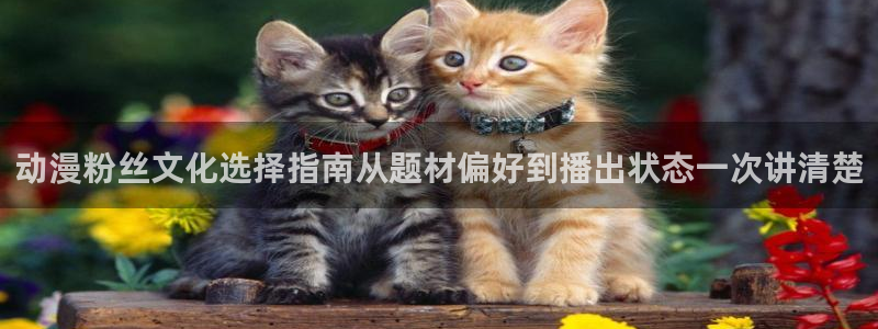 2026汗汗漫画阅读:动漫粉丝文化选择指南从题材偏好到播出状态一次讲清楚配图