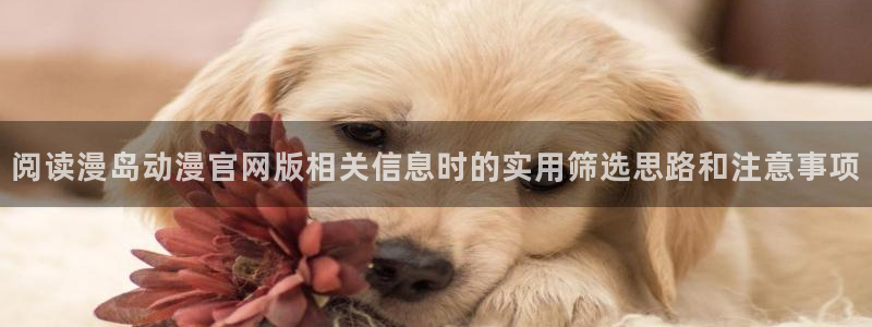 汗汗漫画免费观看：阅读漫岛动漫官网版相关信息时的实用筛选思路和注意事项配图
